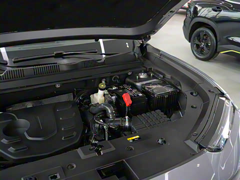 2024�� 1.5T DCT ���ڰ�PRO