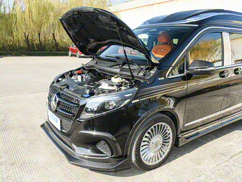 2025�� V 300 L ������˹ �˶���