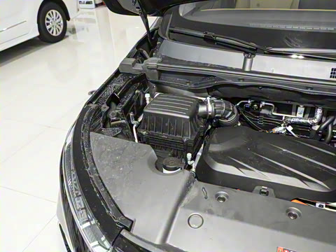 2025�� �콢��