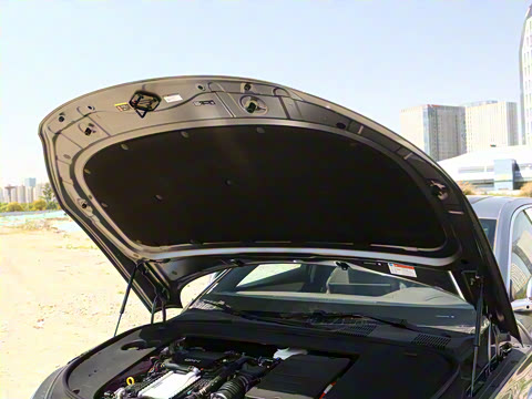 2025�� DM-i �Ǽݰ� 125KM��Ӣ��