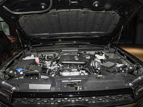 2025�� ̽�������Զ��� ����