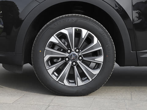 2025�� 25T �׽��