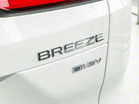 2025�� e:HEV ������ҫ��