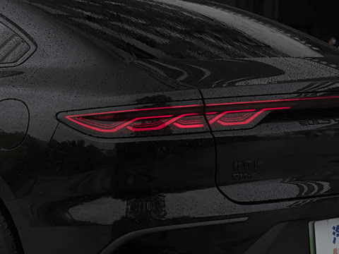 2023�� DM-p ս���