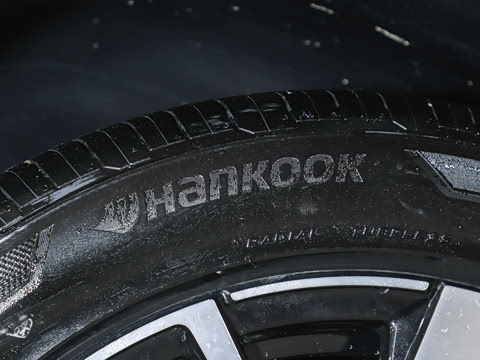 2025�� 300TSI DSG���������