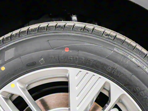 2025�� 445km ���ð�