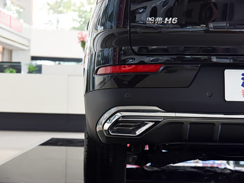 2021�� 1.5T �Զ��ھ���