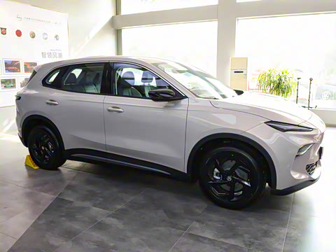 2025�� 515pro ������