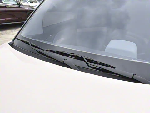 2022�� ������������ �������