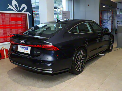 2025�� 45 TFSI ��ѡ��