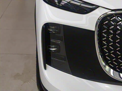 2025�� 1.5T 116km ������ 7��