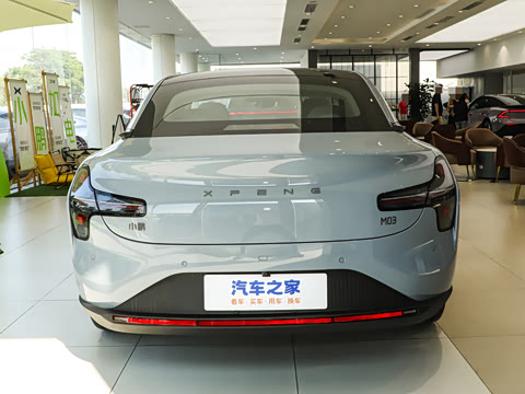 2025�� 502 ������ Max