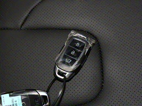 2022�� 240TGDi DCT LUX����