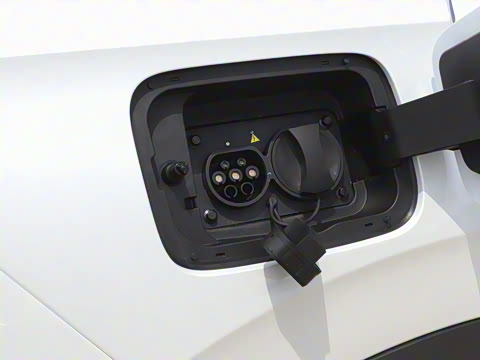 2025�� 205��������������