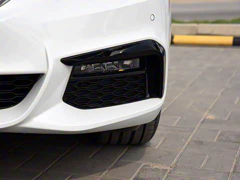 2019�� 530Li xDrive M�˶���װ