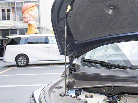 2025�� Ǭ��ϵ�� Max ������