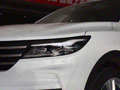 2019�� 220T �ֶ��ǻ��� ��V