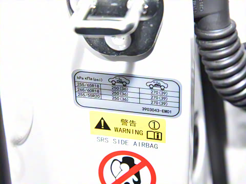 2024�� ����������