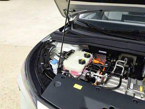 2025�� 565km ������