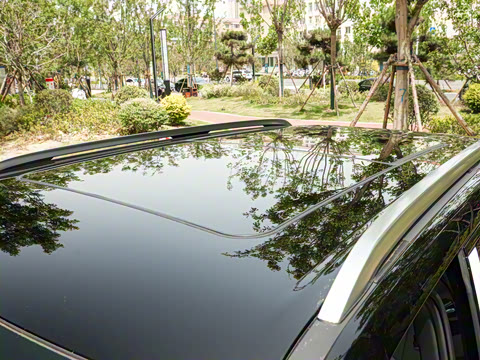 2025�� 501KM ����Max��