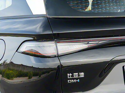 2025�� DM-i �Ǽݰ� 115KM������