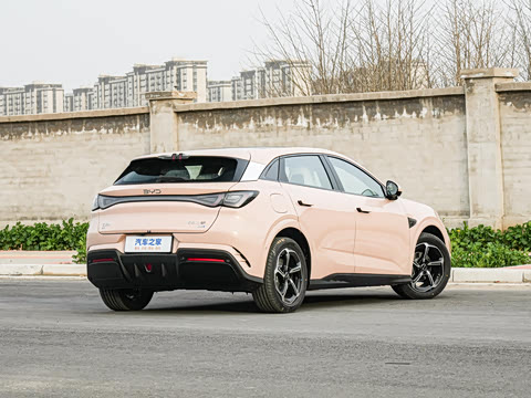 2025�� �Ǽݰ� 505���˰�