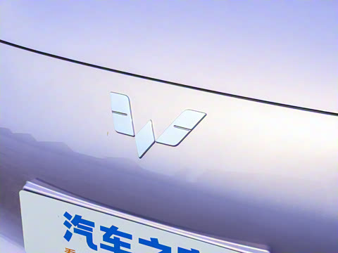 2025�� 333km ������