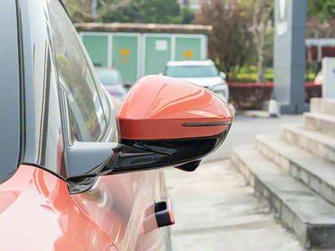 2025�� Pro���̰�