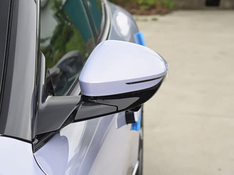 2025�� Max�����