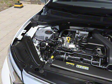 2025�� �Ŀ�� 300TSI DSG׿Խ��