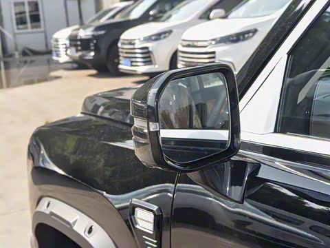 2025�� 2.0T 4WD Pro