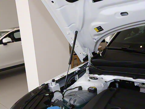 2026�� B3 ��Զ������