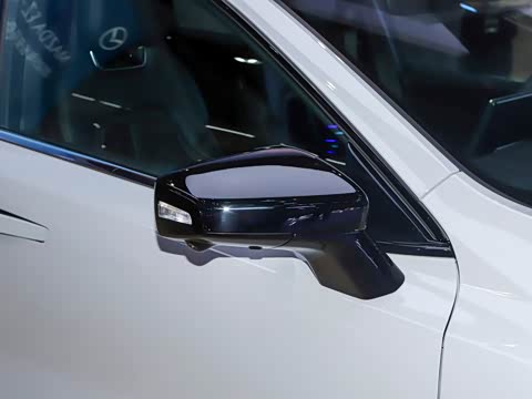 2025�� ����600�����˶���