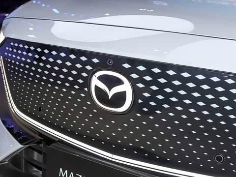 2025�� ����600�����˶���