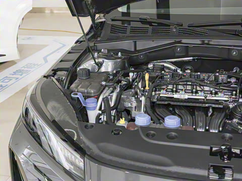 2025�� �ǻ������� 145KM ���ܰ�