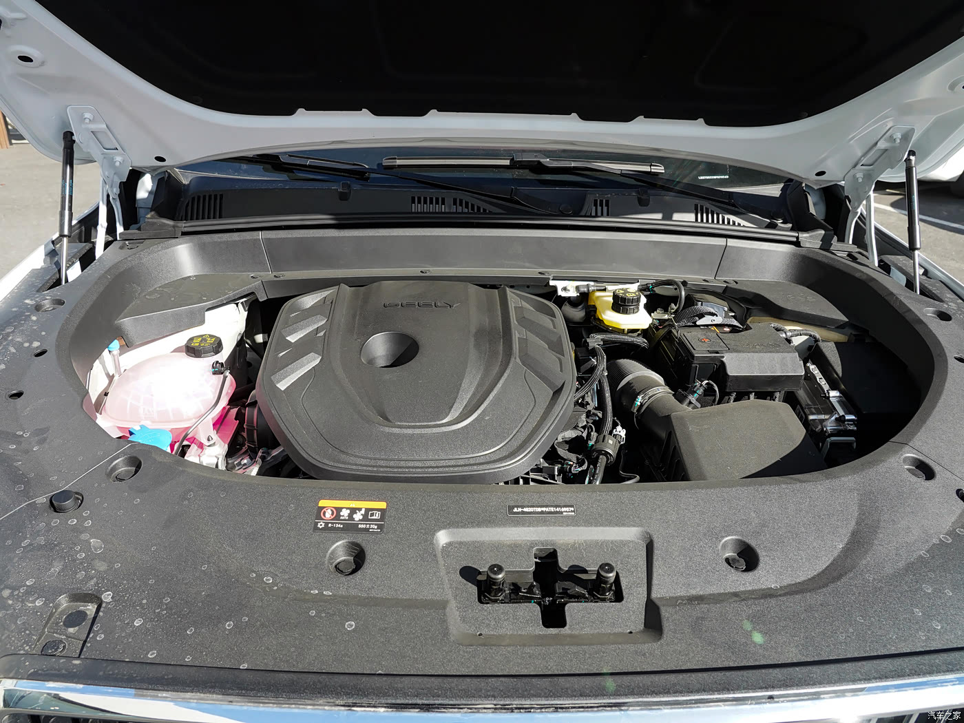 专业分析:正规的在线体育投注网站