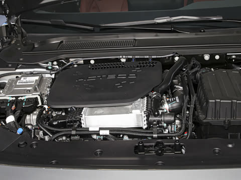 2025�� ���� Plus ��������