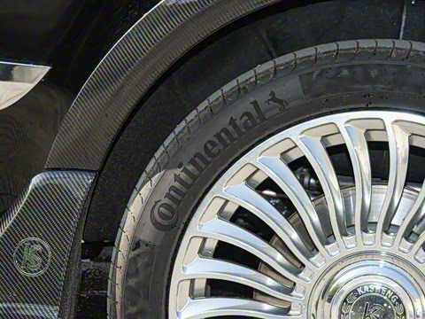 2025�� V 300 L ������˹ �˶���