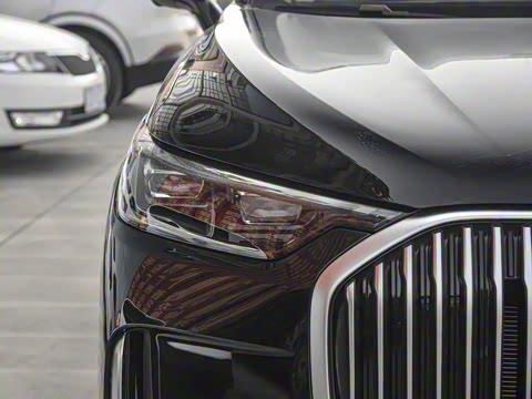 2025�� 1.5T 106KM������ 7�� �������