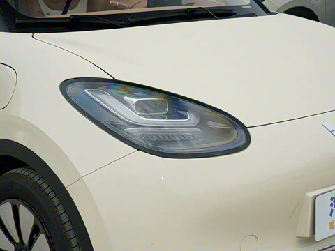 2025�� 333km ������