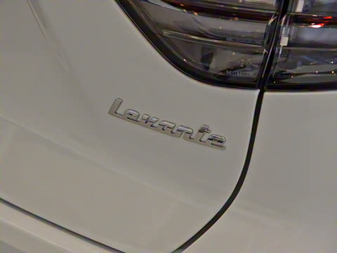 2021�� 3.0T ������