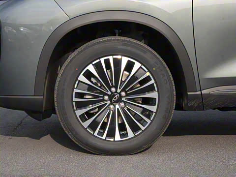 2025�� 1.5T 116km ������ 5��