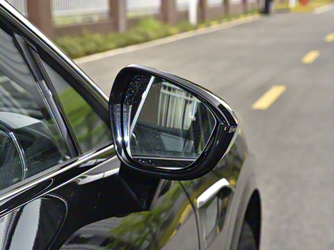 2025�� Max ���̰�