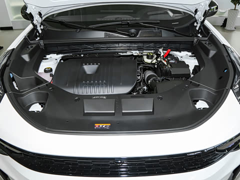 2025�� 2.0TD ��������Pro��