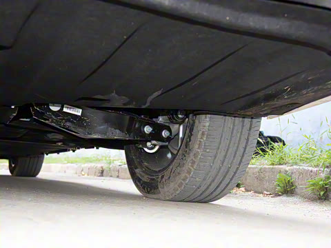 2022�� ������ ɭ��������