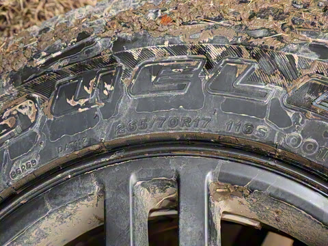 2025�� ��׼��