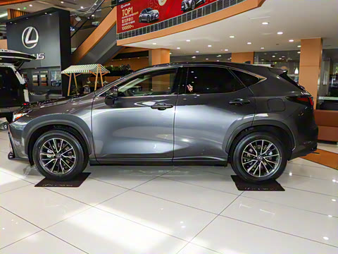 2025�� 260 ǰ�� �ر��