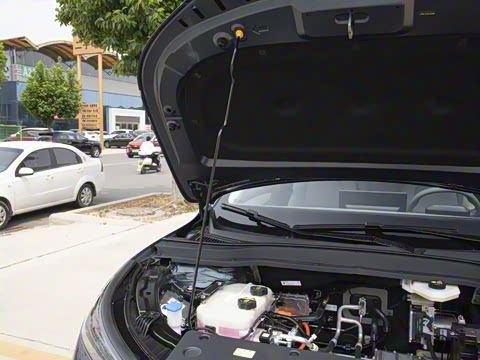 2025�� 445km ��ѡ��