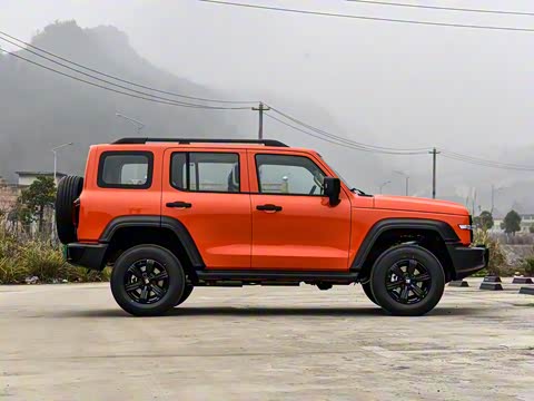 2025�� 2.0T ��ս��