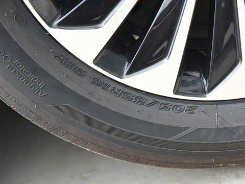 2019�� ������